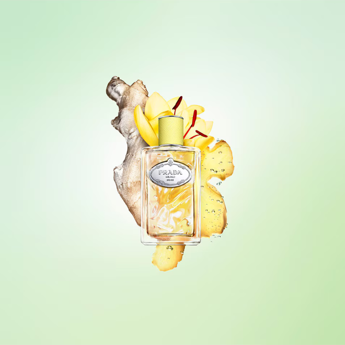 Prada Infusion de Gingembre 100 ml