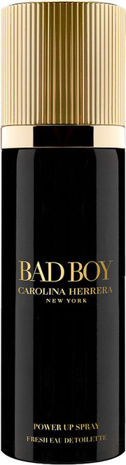 Bad Boy Power Up Eau de Toilette 100 ml