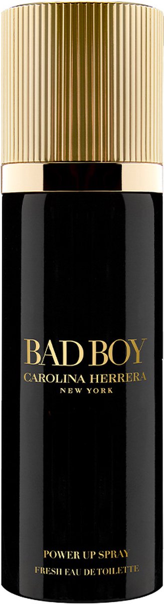 Bad Boy Power Up Eau de Toilette 100 ml